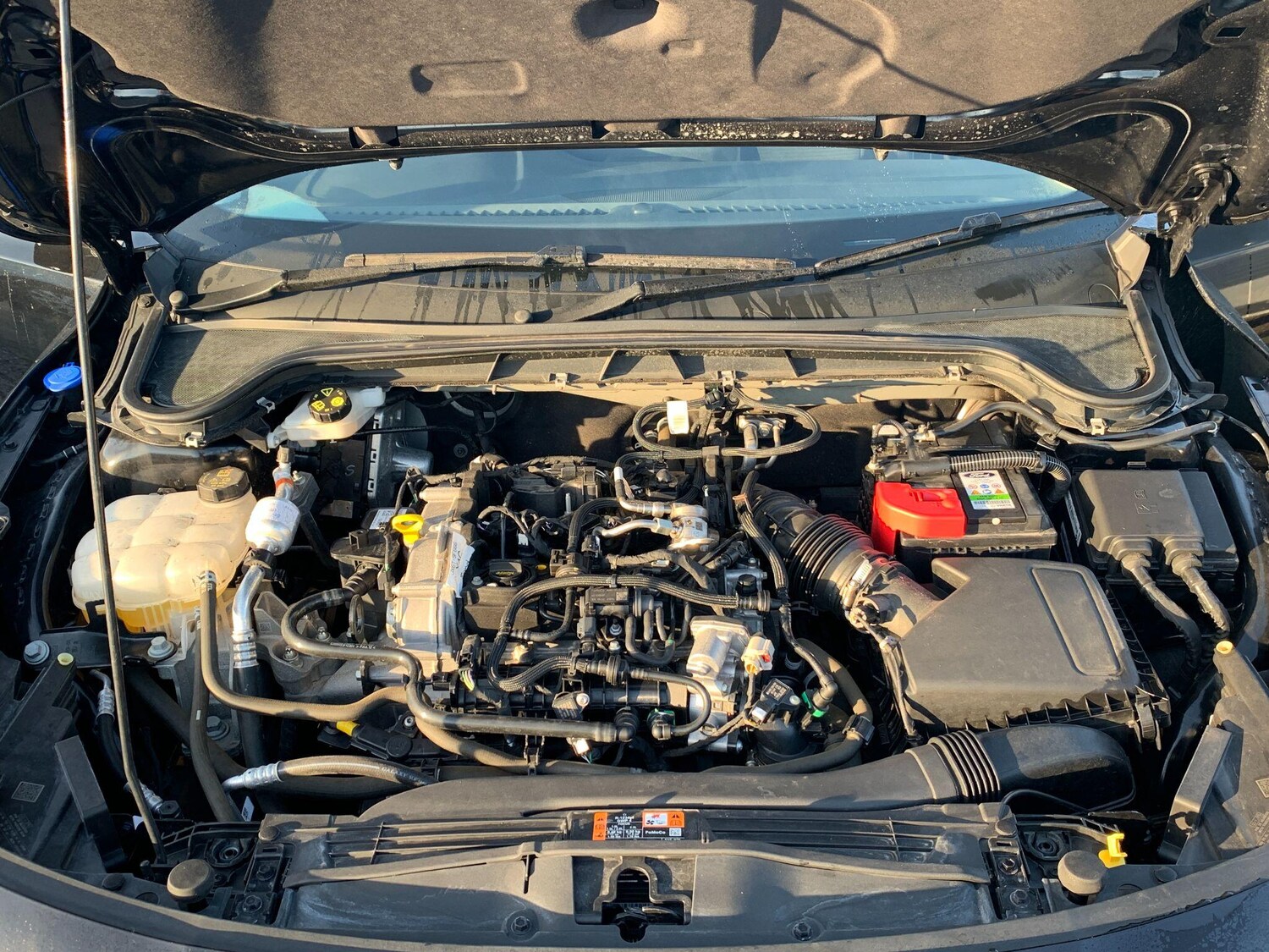 Used Ford Focus 2022 for sale - 76227881: Photo 19