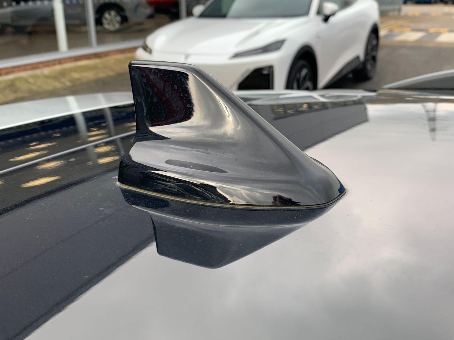 Used Ford Focus 2019 for sale - 77386341: Photo 22