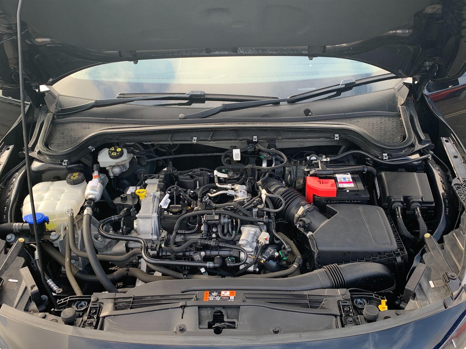 Used Ford Focus 2022 for sale - 77387231: Photo 17