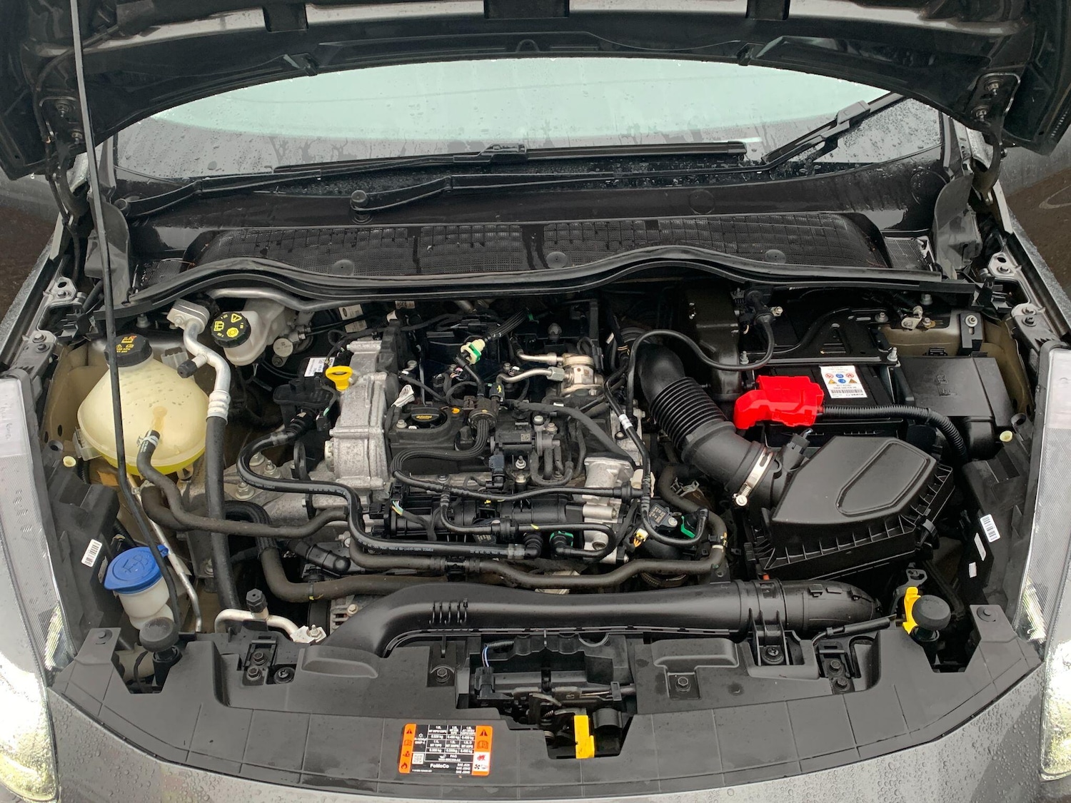 Used Ford Fiesta 2023 for sale - 77016750: Photo 32