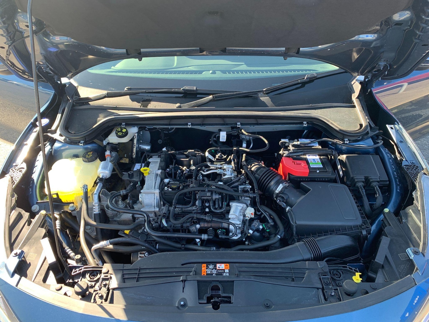 Used Ford Focus 2024 for sale - 77958192: Photo 19