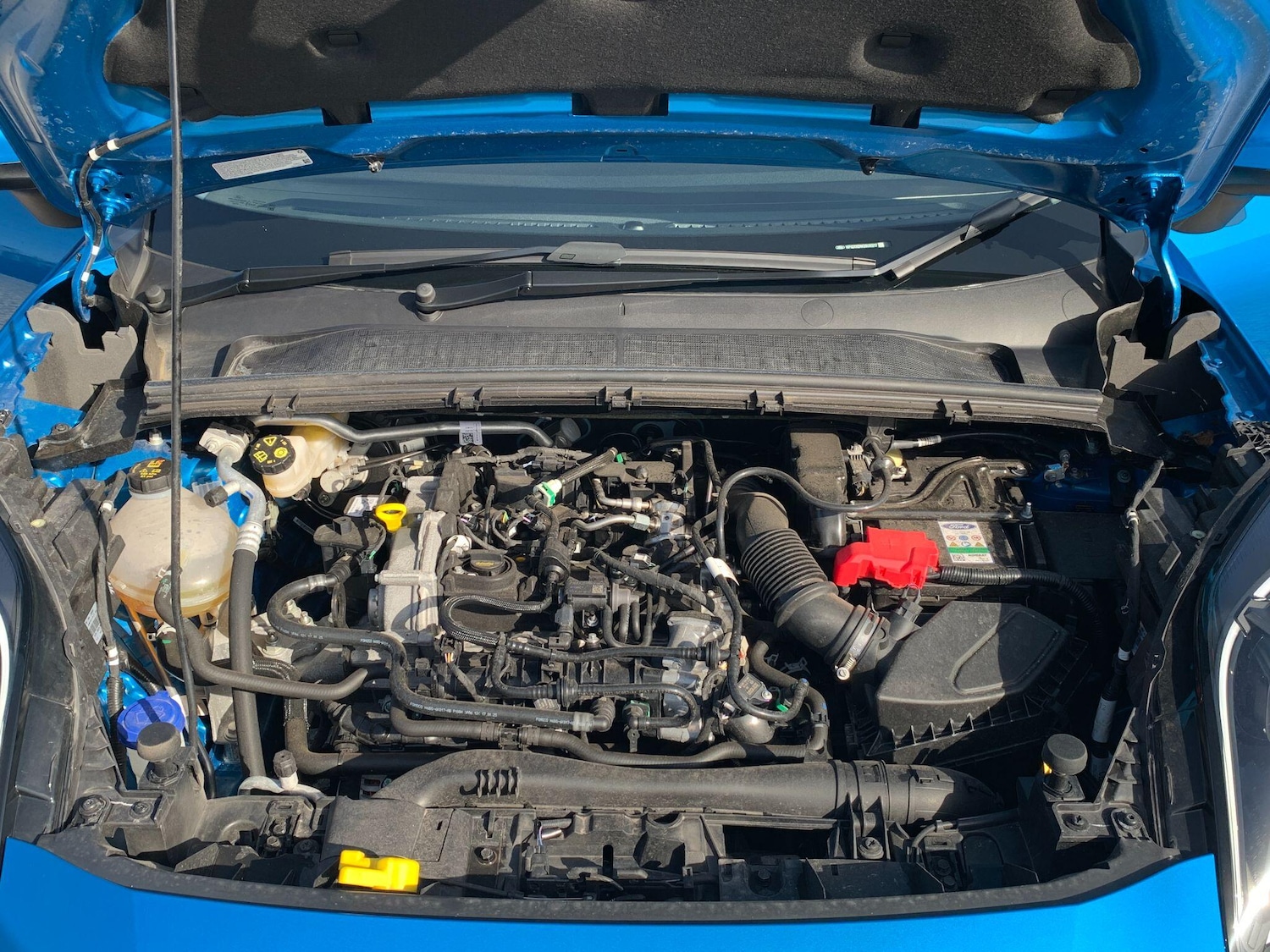 Used Ford Puma for sale - 77704781: Photo 35