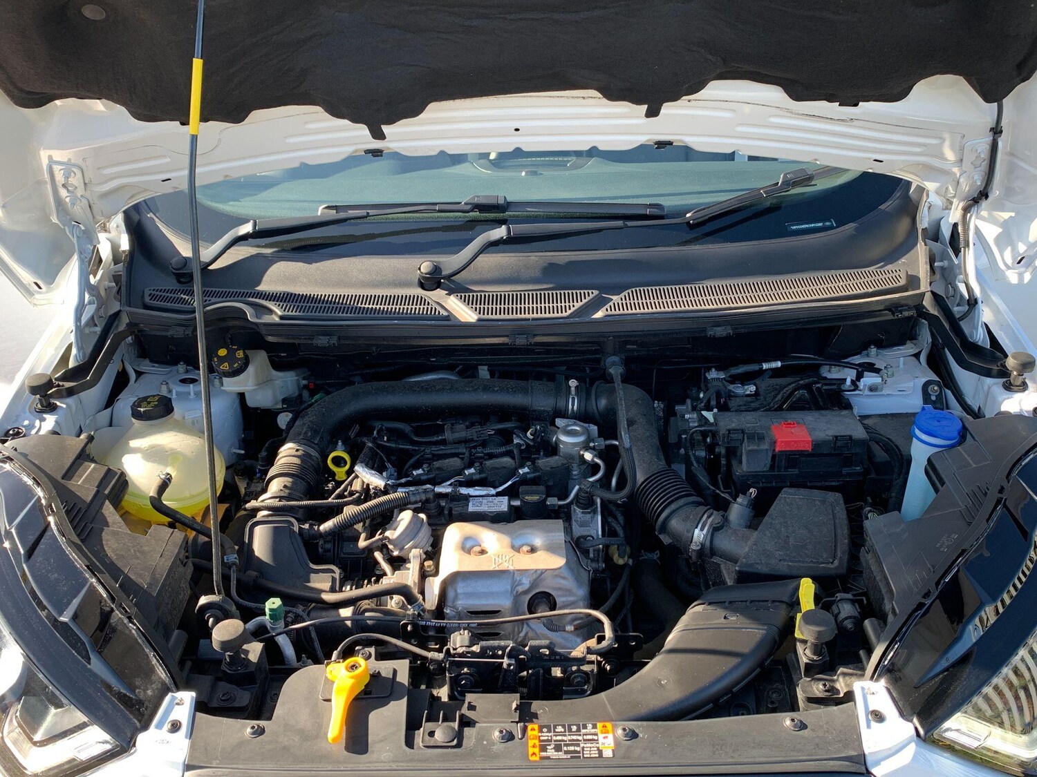 Used Ford Ecosport 2023 for sale - 76371481: Photo 17