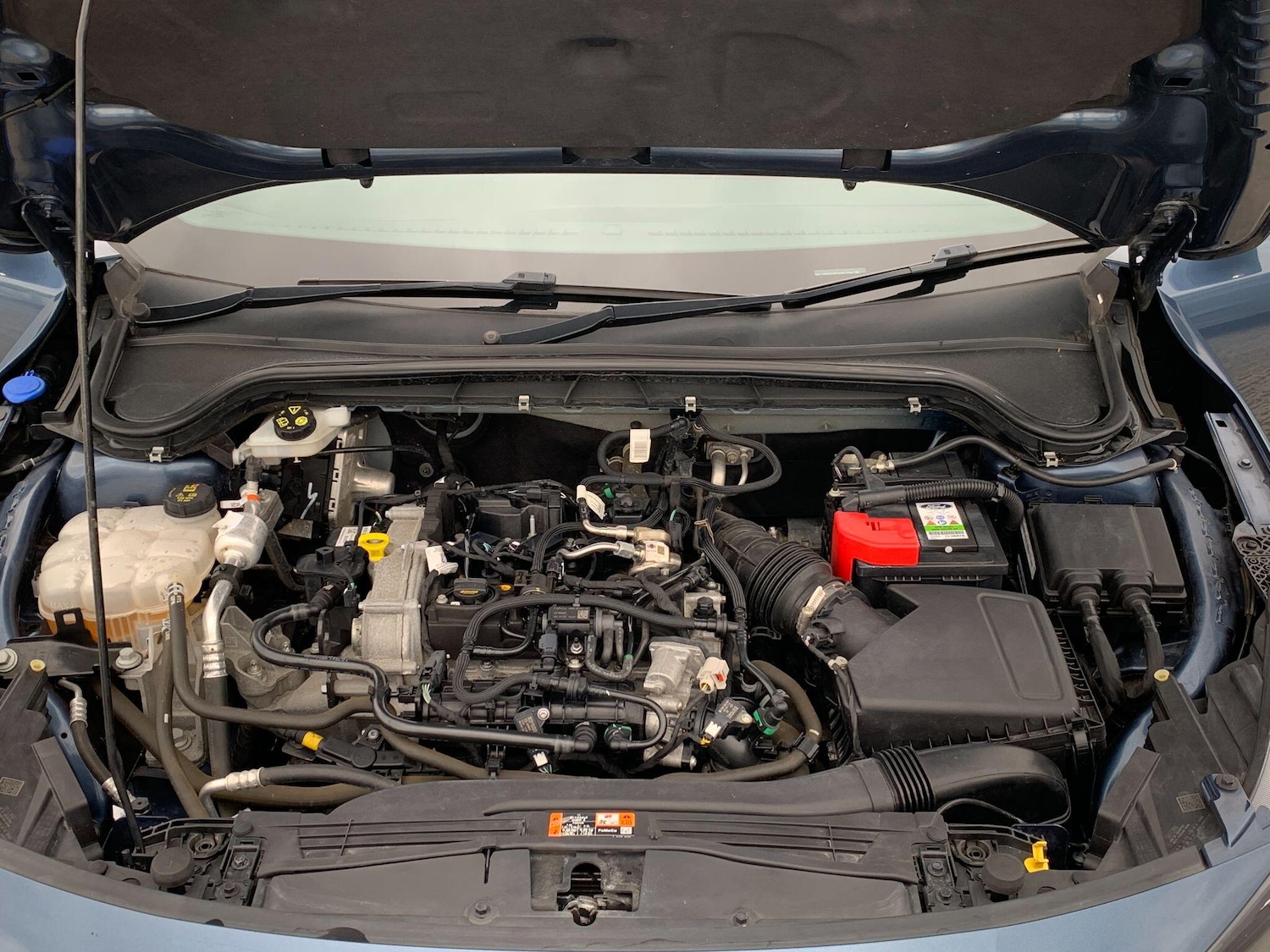 Used Ford Focus for sale - 77882197: Photo 20