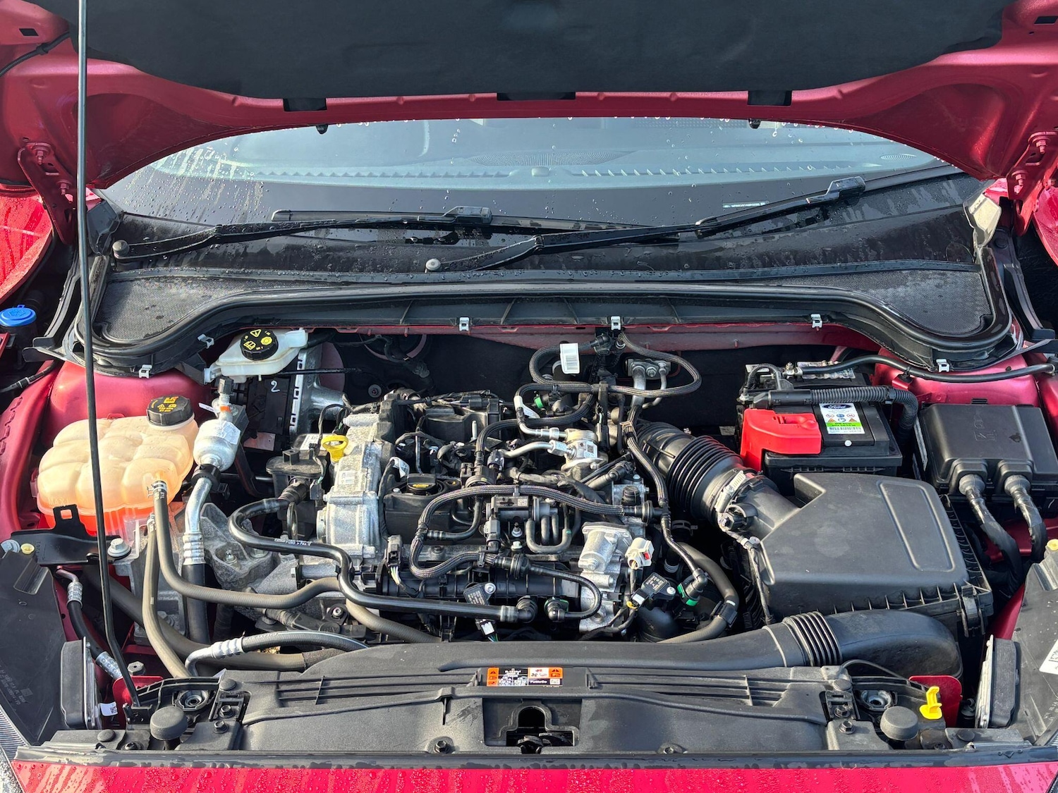 Used Ford Focus for sale - 76440366: Photo 29