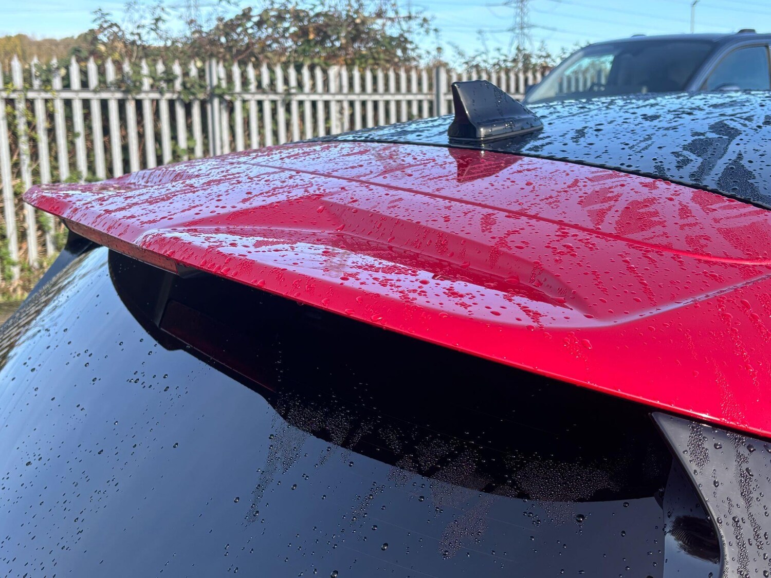 Used Ford Focus for sale - 76440366: Photo 39