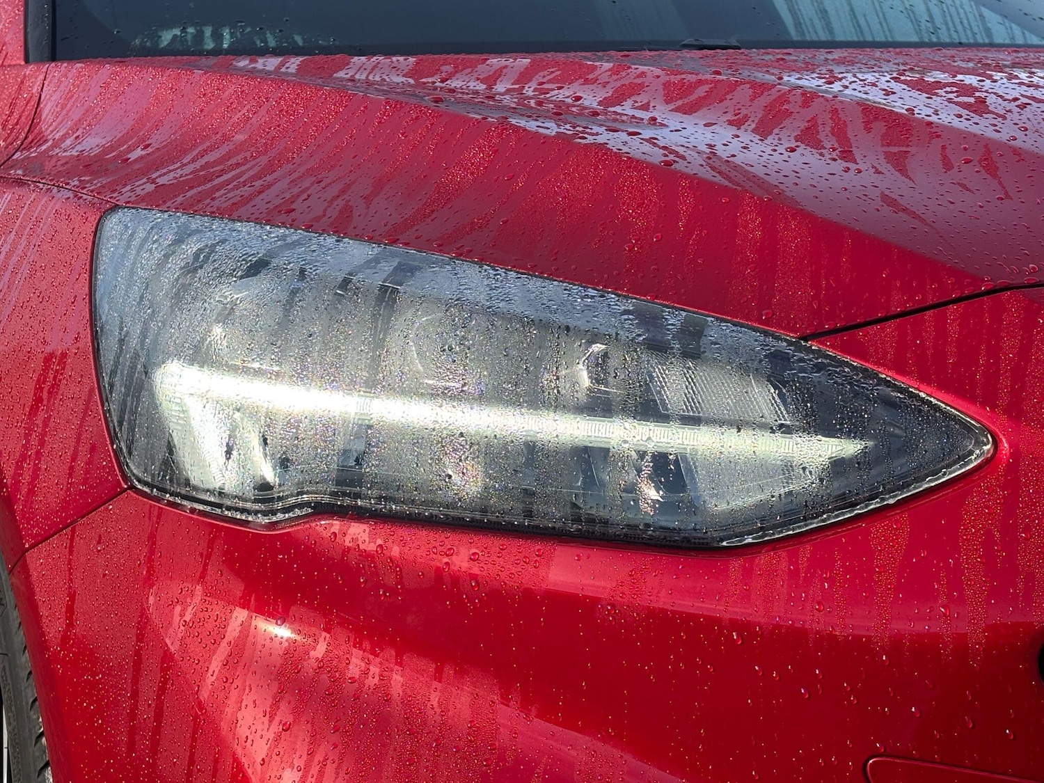 Used Ford Focus for sale - 76440366: Photo 46