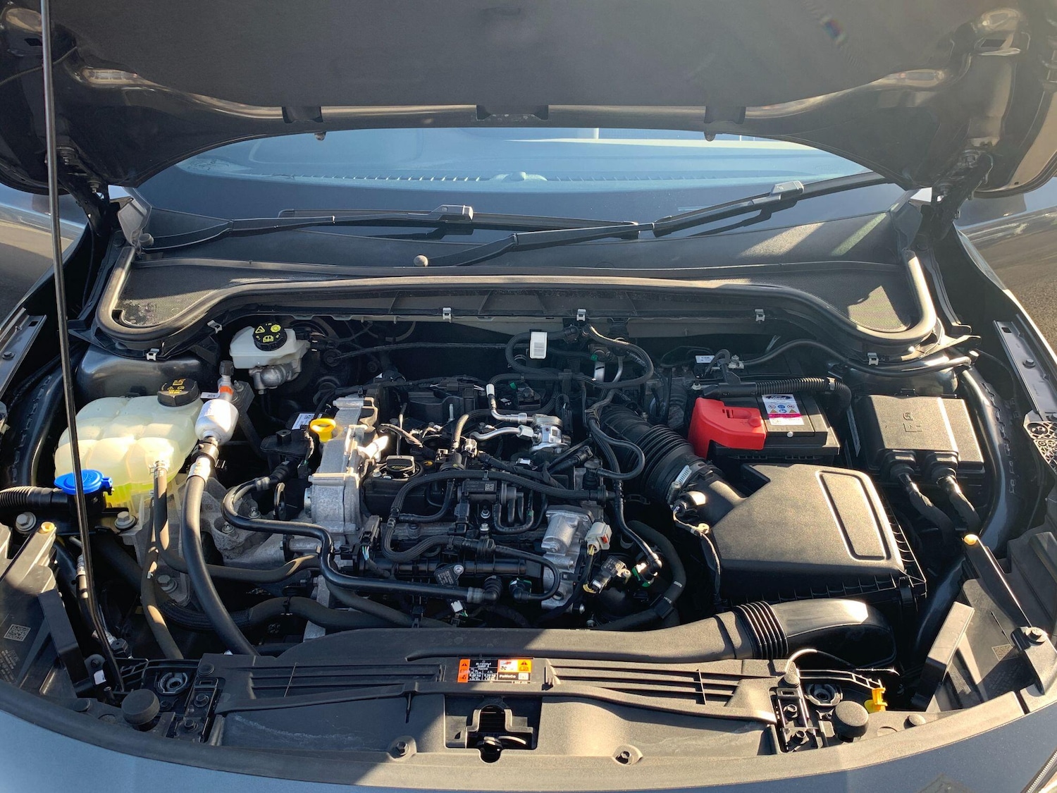 Used Ford Focus for sale - 77599010: Photo 32