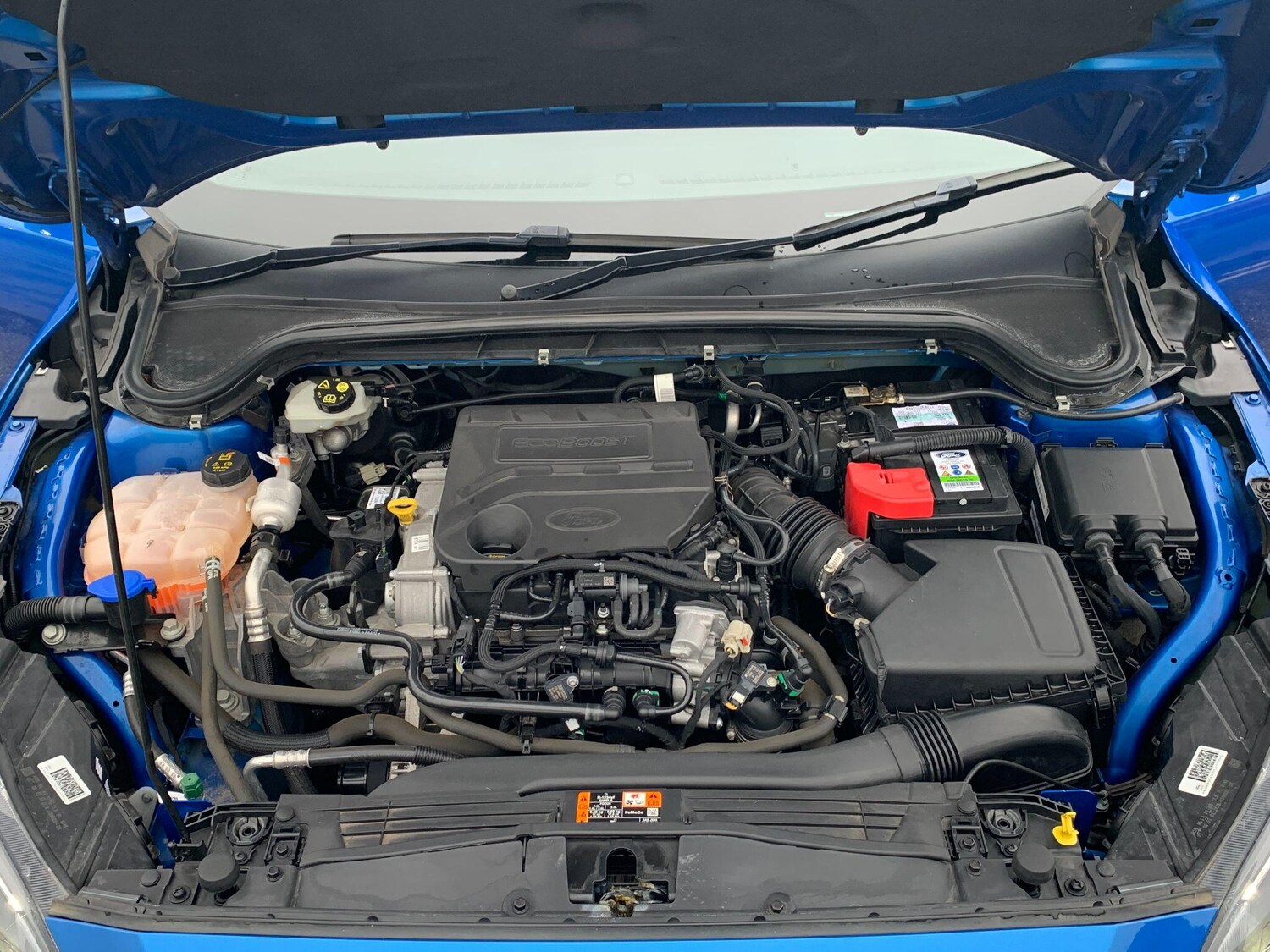 Used Ford Focus 2019 for sale - 77352026: Photo 31