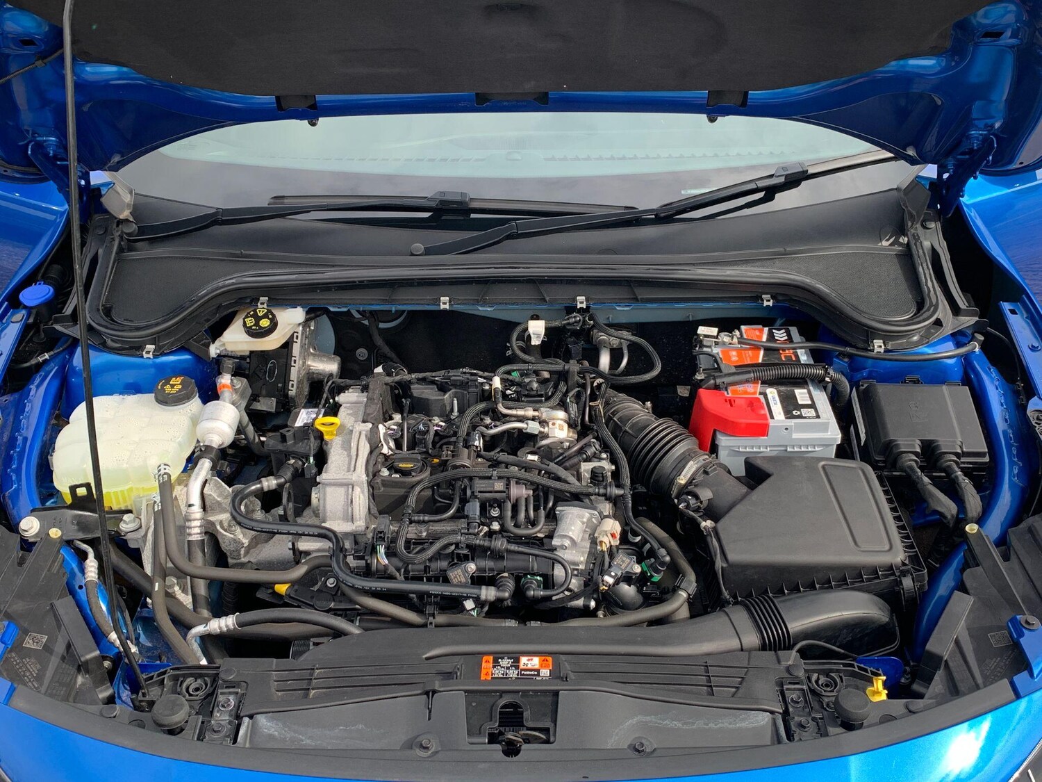 Used Ford Focus for sale - 77909498: Photo 20