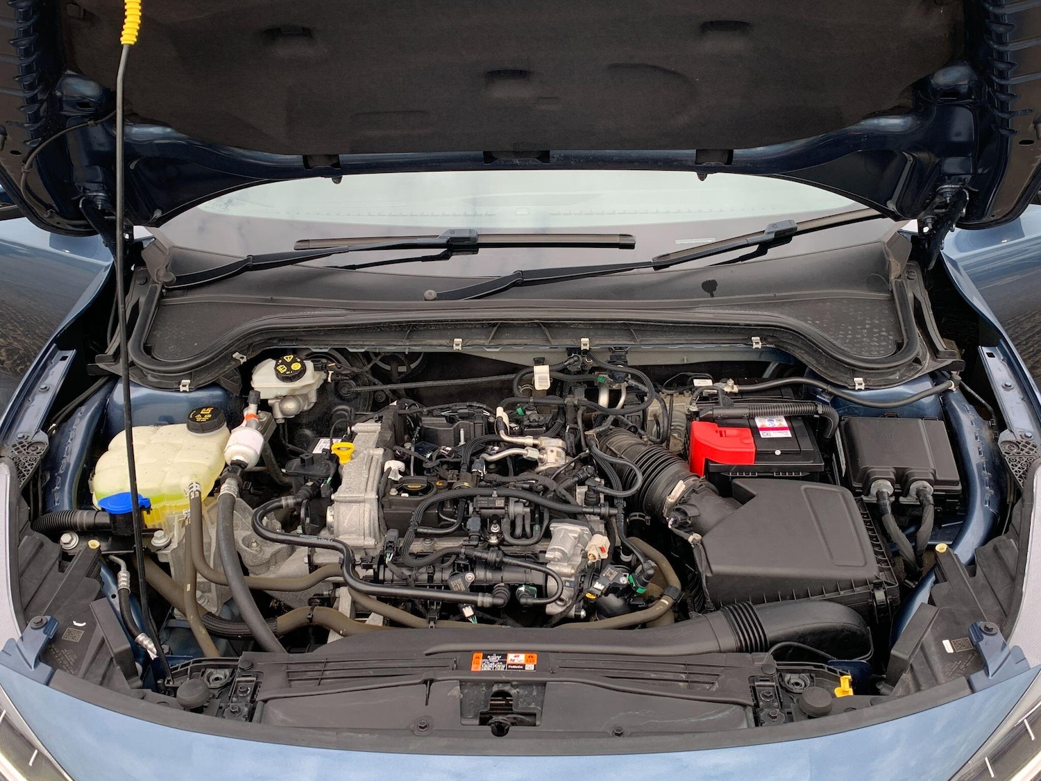 Used Ford Focus for sale - 77683446: Photo 34