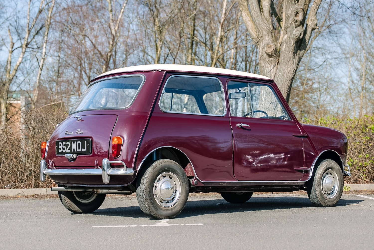 Used Austin Mini 1964 for sale - 78027536: Photo 2