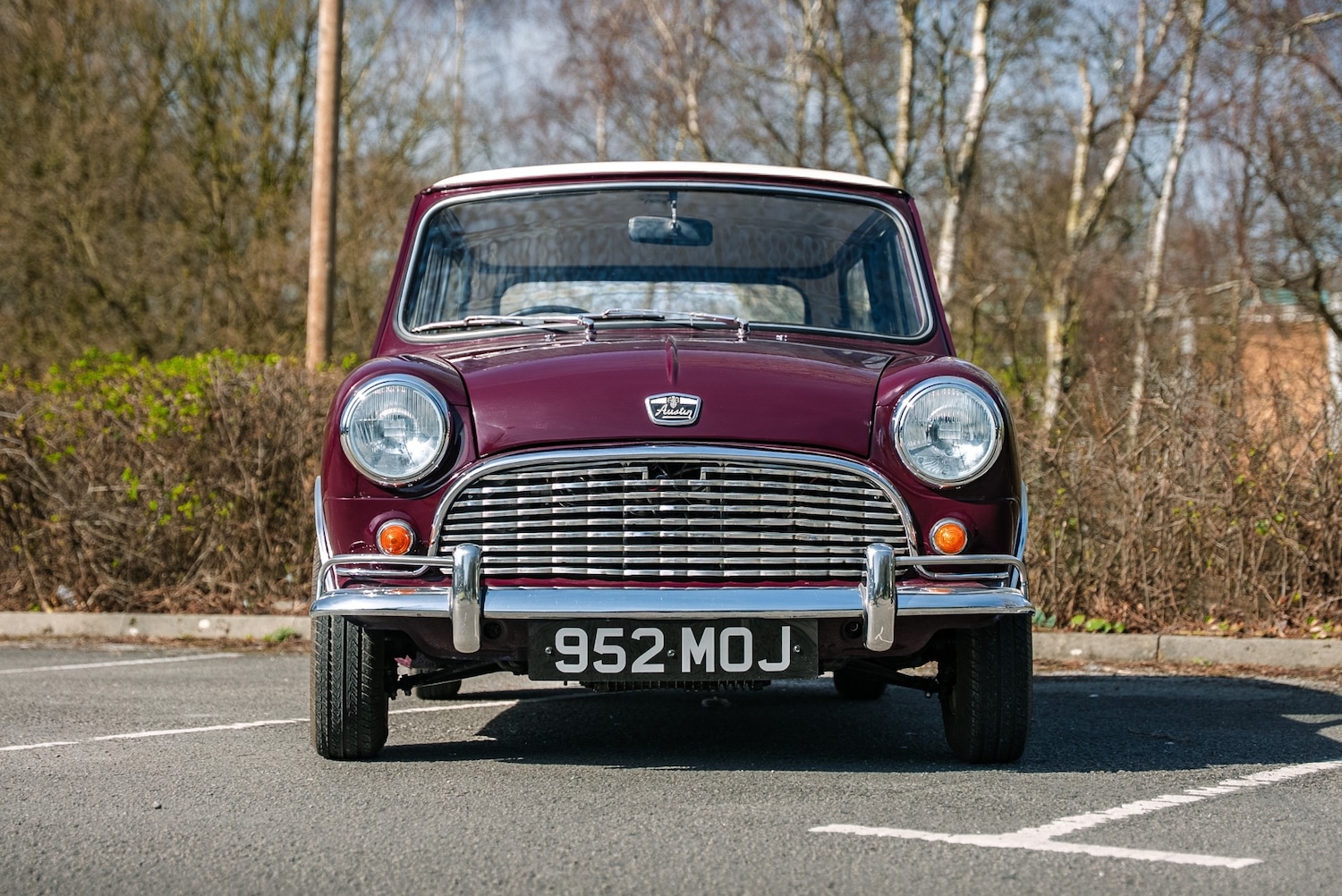 Used Austin Mini 1964 for sale - 78027536: Photo 4