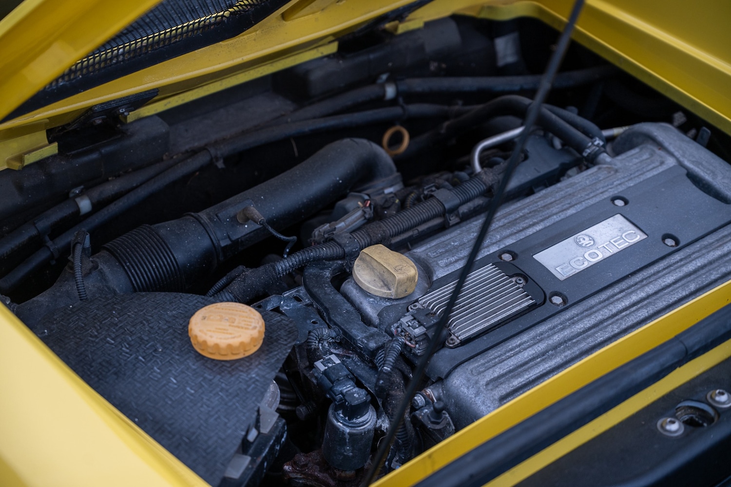 Used Vauxhall VX220 2003 for sale - 77689519: Photo 24