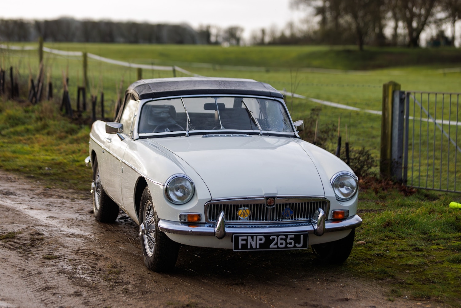 Used MG MGB 1971 for sale - 77516443: Photo 5