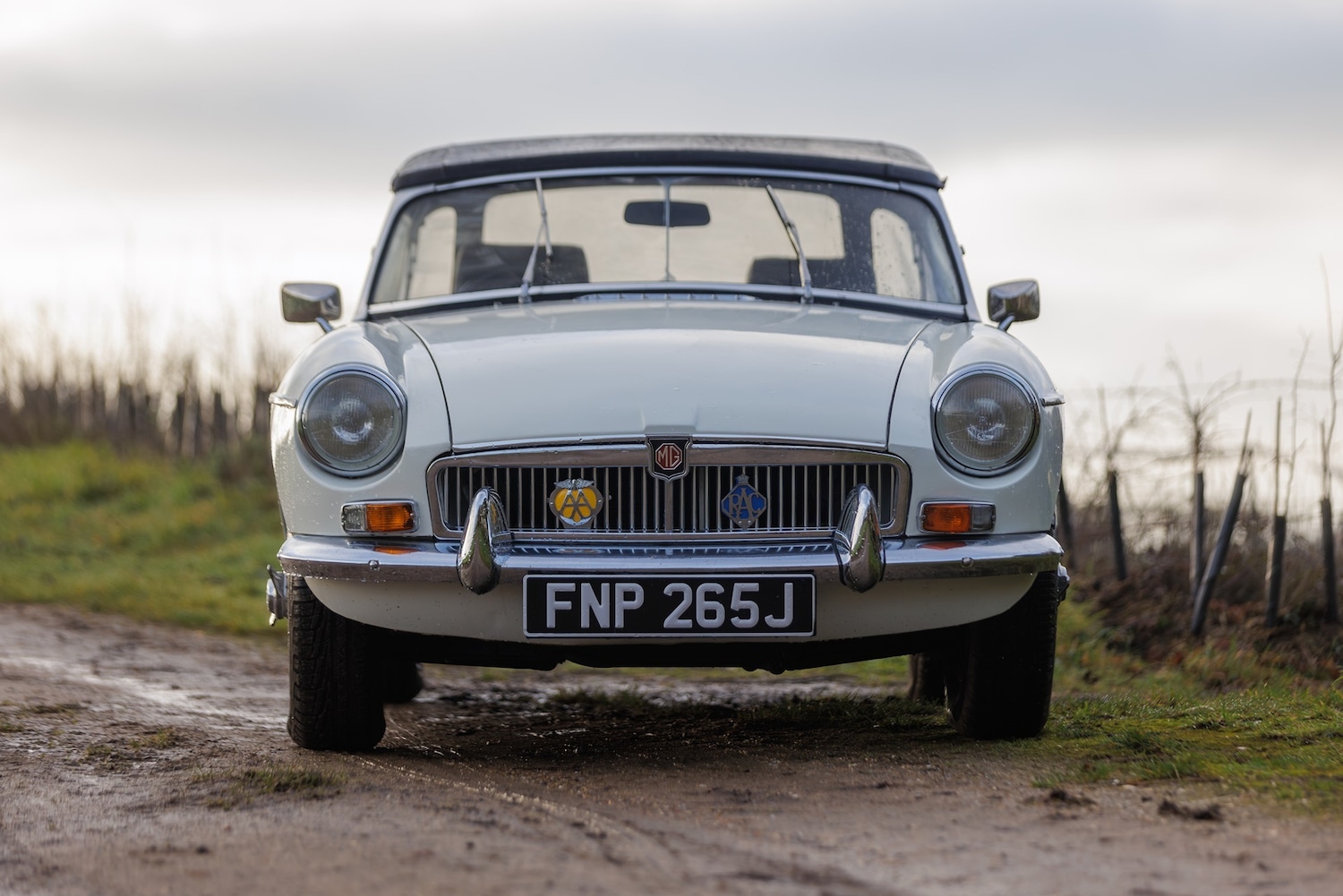 Used MG MGB 1971 for sale - 77516443: Photo 6