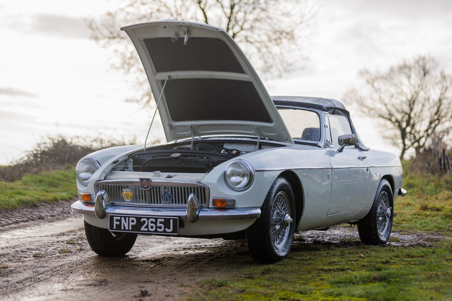 Used MG MGB 1971 for sale - 77516443: Photo 7