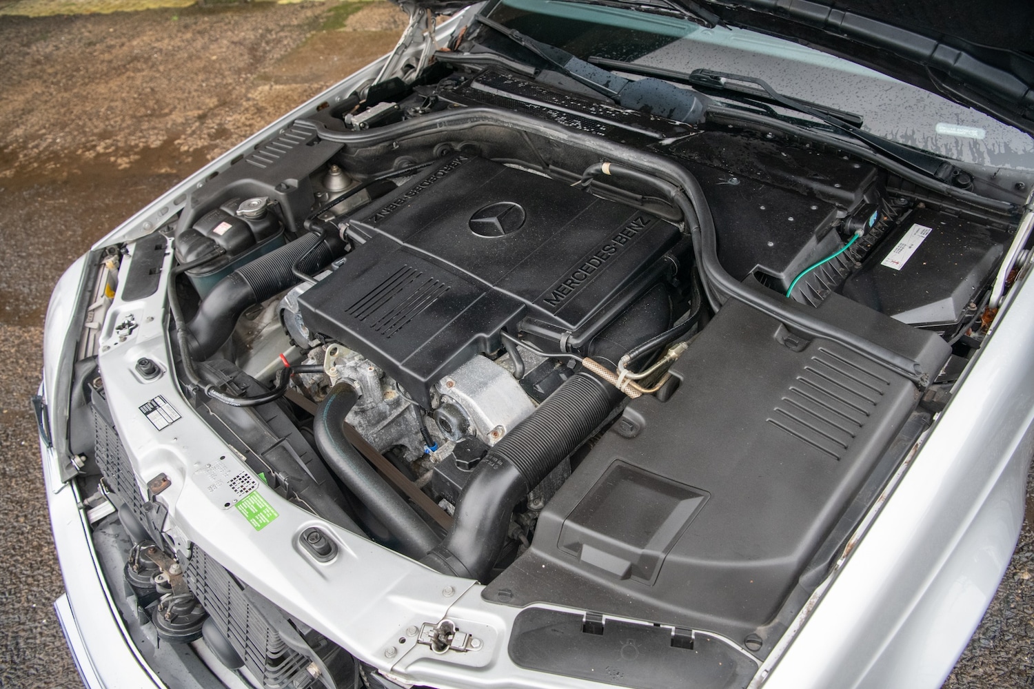 Used Mercedes-Benz S Class 1996 for sale - 77542559: Photo 22