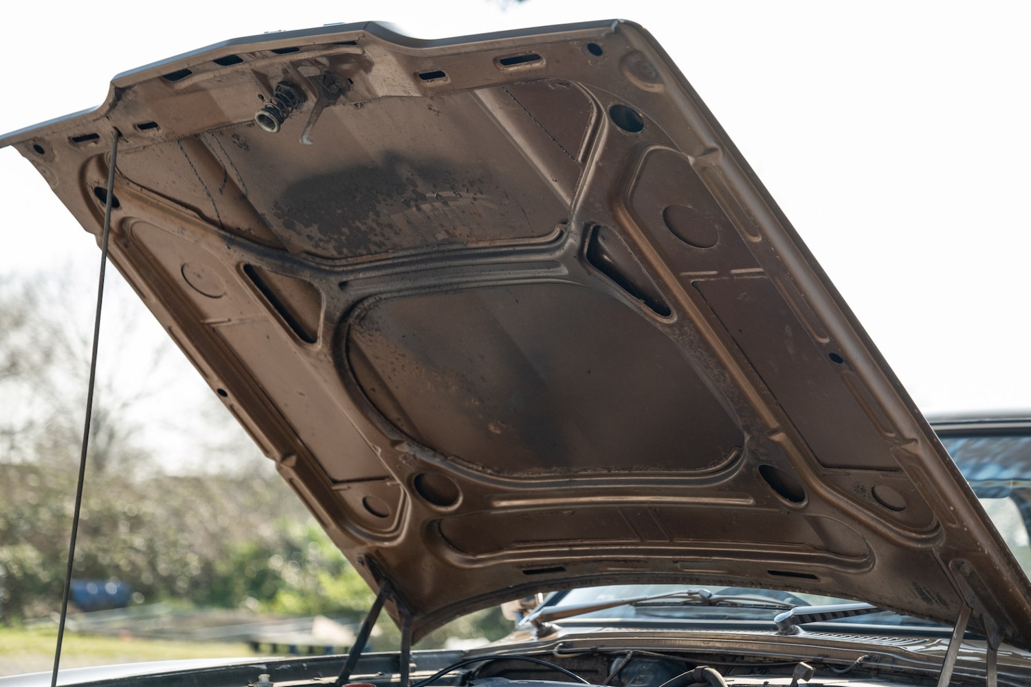 Used Ford Cortina 1972 for sale - 77776593: Photo 16