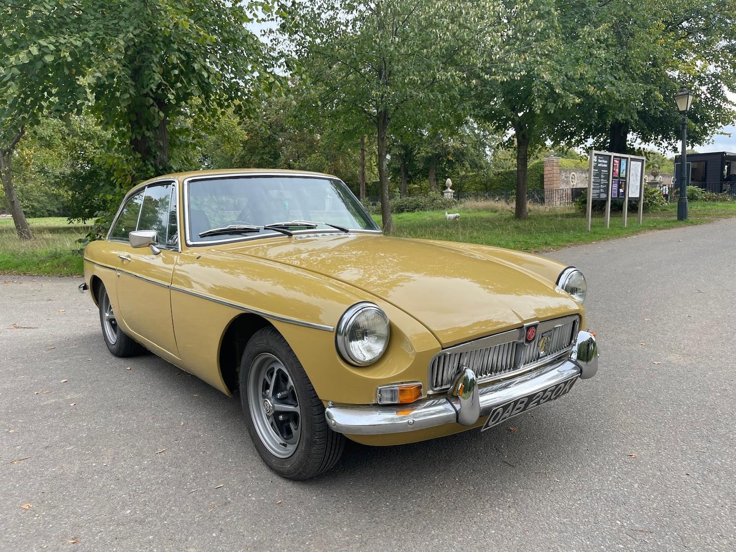 Used MG MGB GT 1972 for sale - 76231119: Photo 3