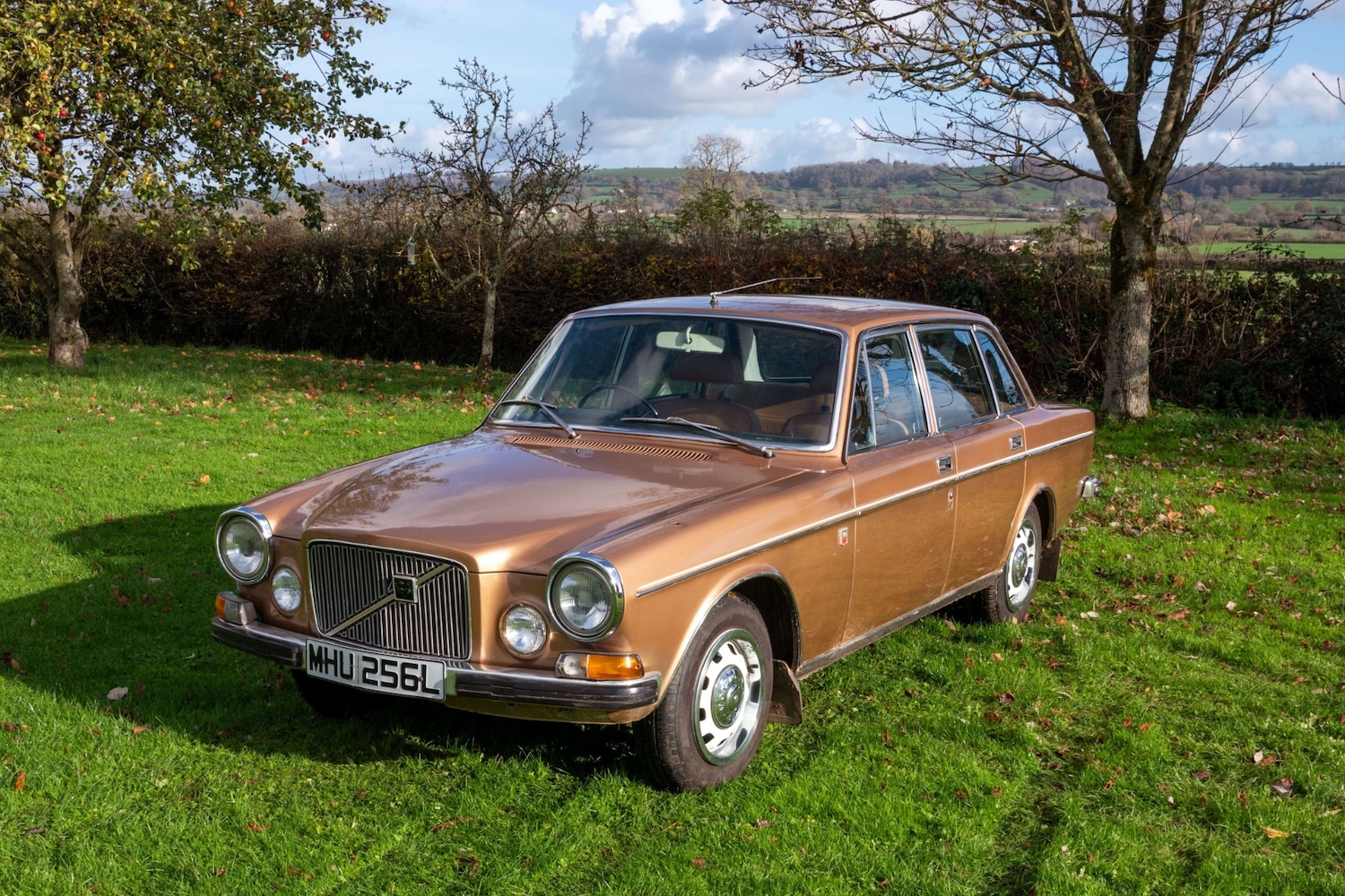 Used Volvo 164 1973 for sale - 76599568: Photo 1