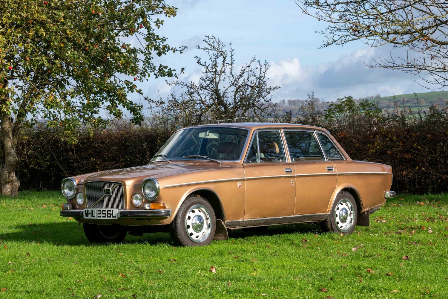 Used Volvo 164 1973 for sale - 76599568: Photo 2