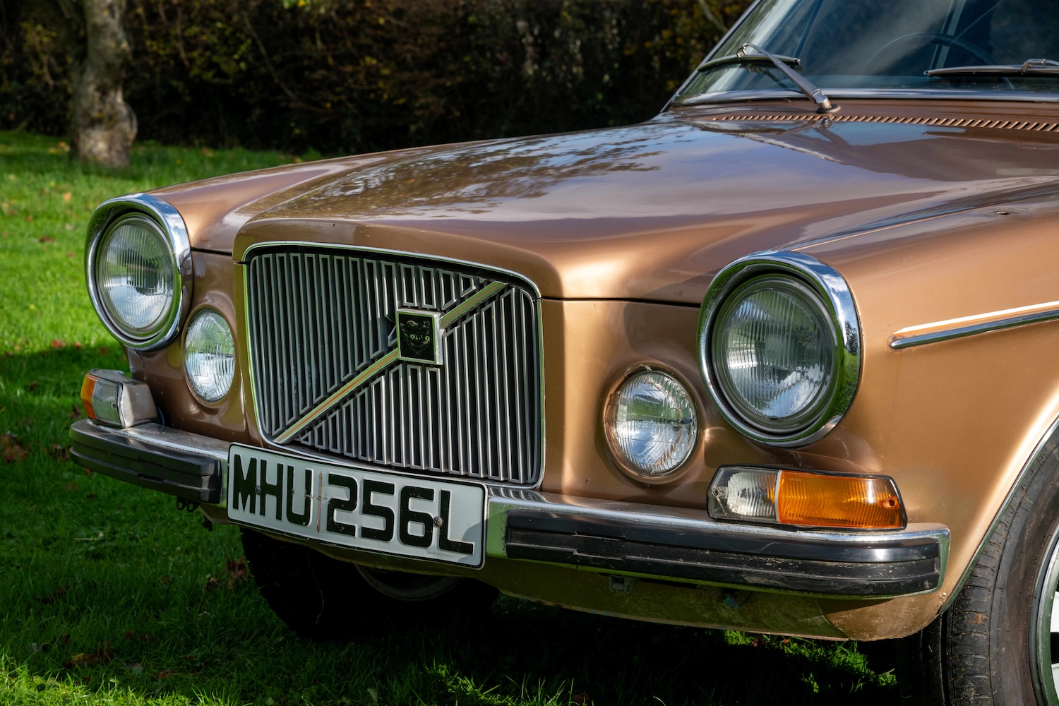 Used Volvo 164 1973 for sale - 76599568: Photo 3