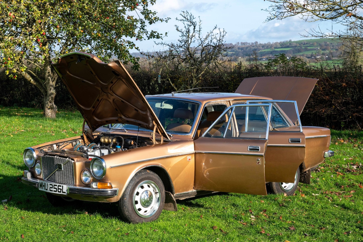 Used Volvo 164 1973 for sale - 76599568: Photo 7