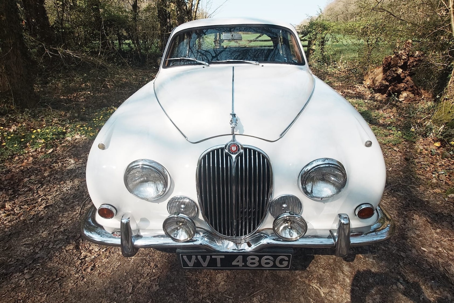 Used Jaguar Mark II 1969 for sale - 77777437: Photo 3
