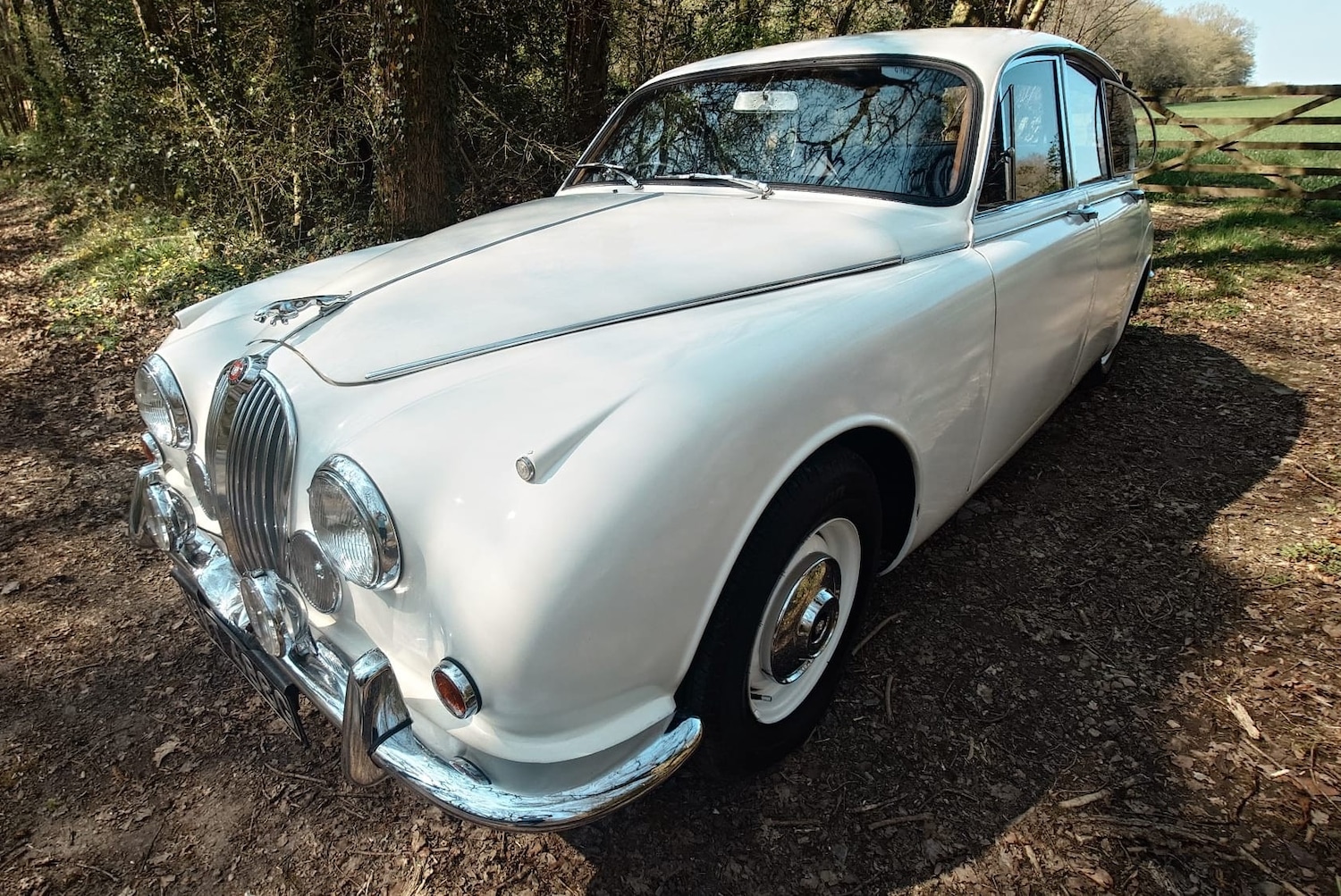 Used Jaguar Mark II 1969 for sale - 77777437: Photo 4