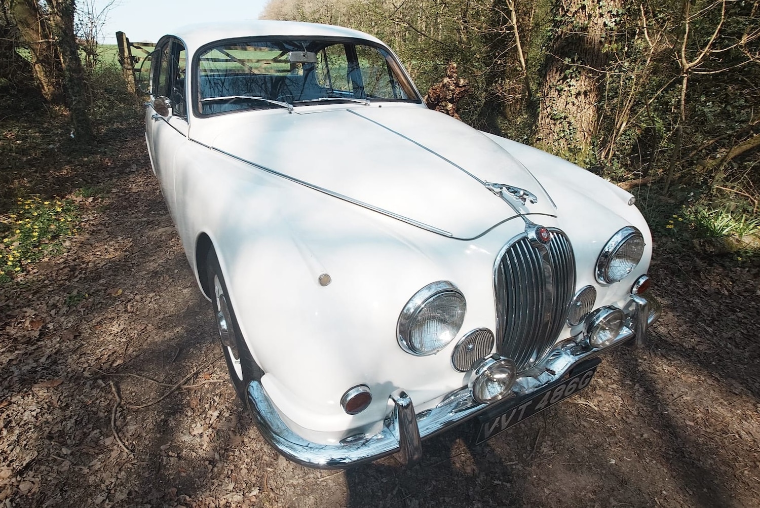 Used Jaguar Mark II 1969 for sale - 77777437: Photo 5