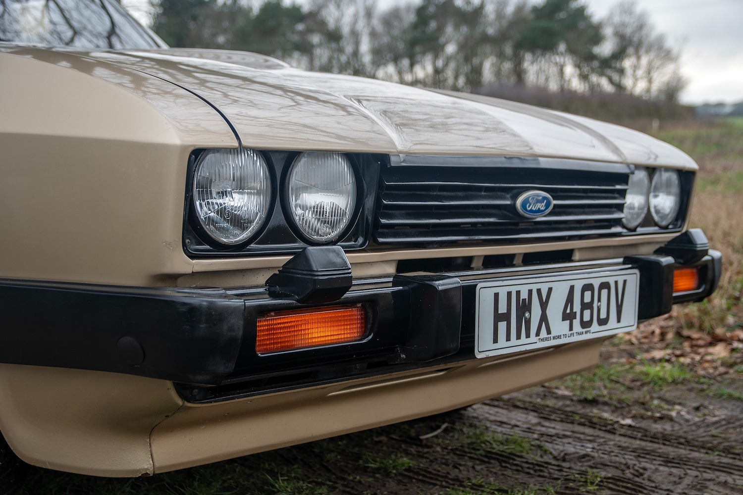 Used Ford Capri 1979 for sale - 77517706: Photo 10