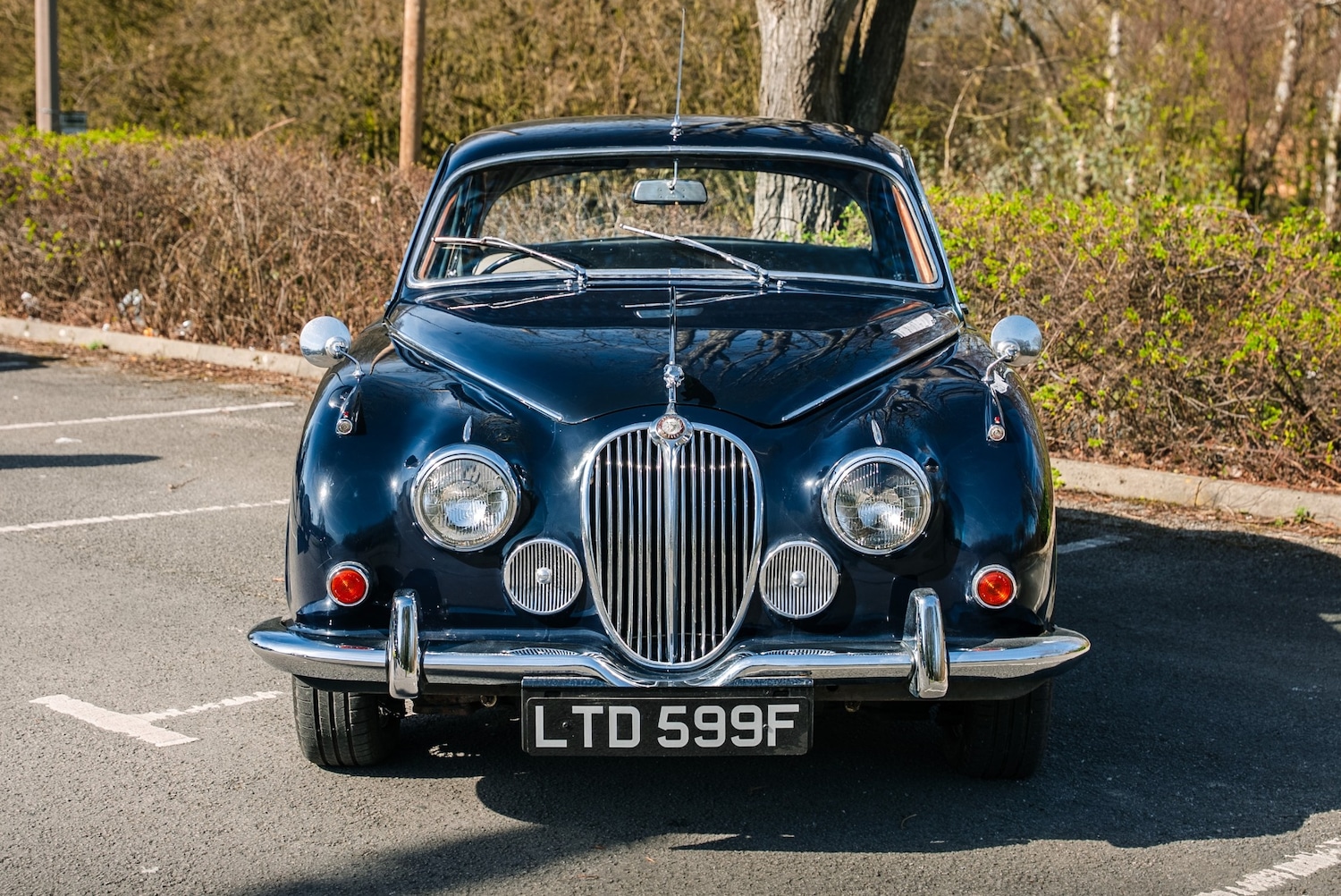 Used Jaguar Mark II 1968 for sale - 77962235: Photo 4