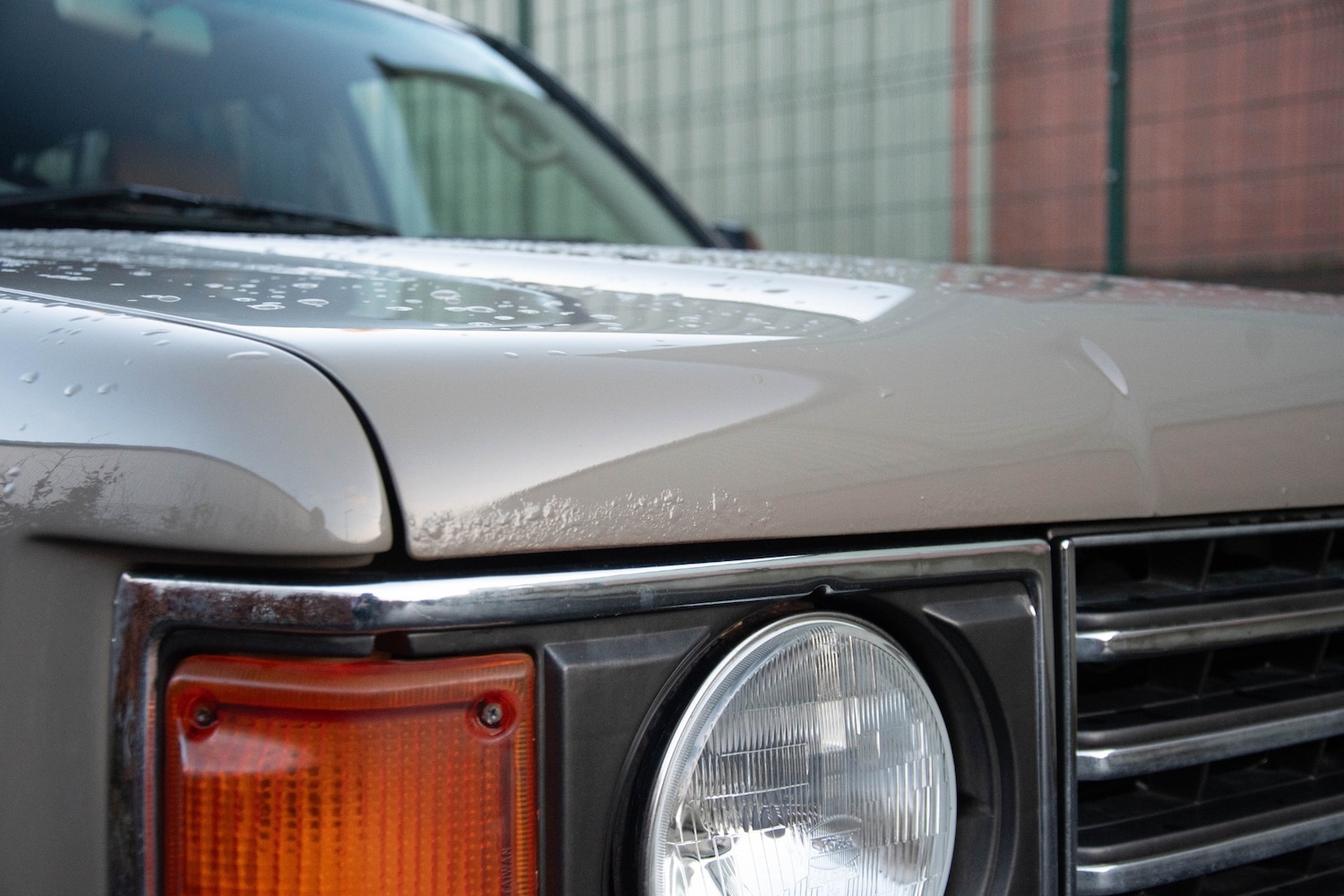 Used Toyota Land Cruiser Amazon 2024 for sale - 77077878: Photo 12