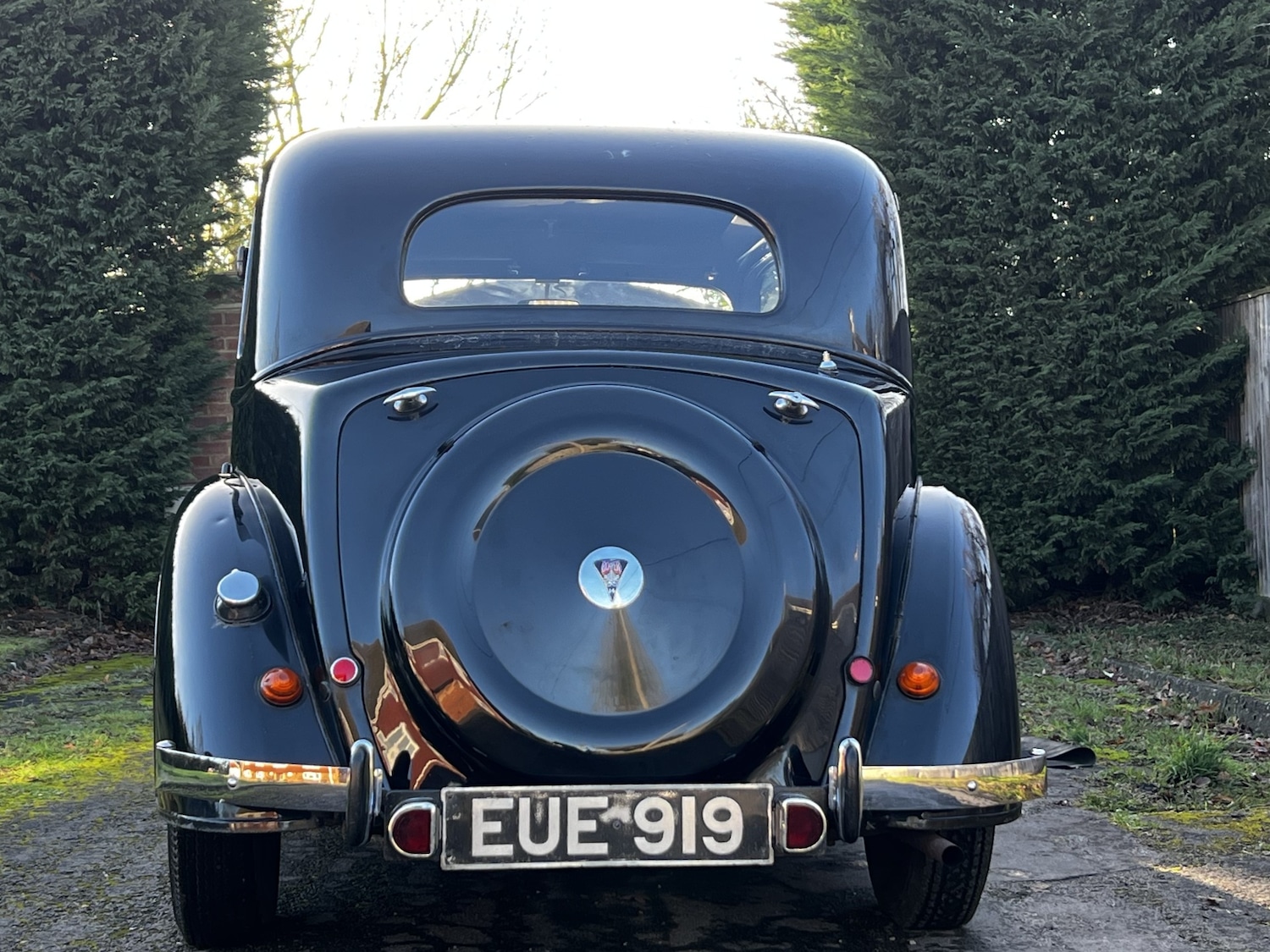 Used Rover 14 1981 for sale - 77044694: Photo 9