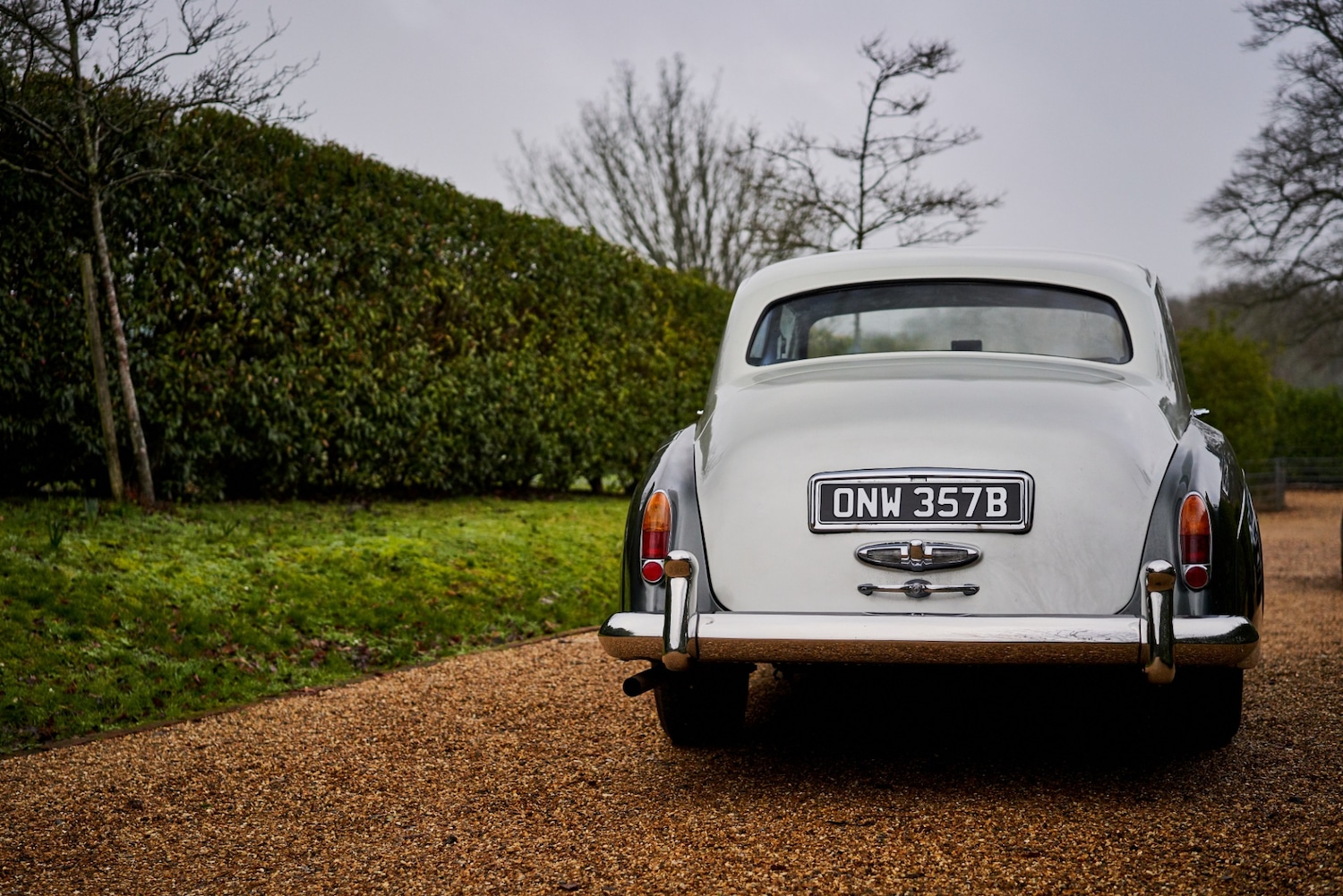 Used Bentley Series III 1964 for sale - 77431435: Photo 5