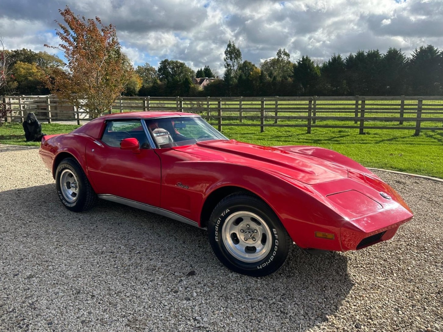 Used Corvette Stingray 1991 for sale - 76402296: Photo 5