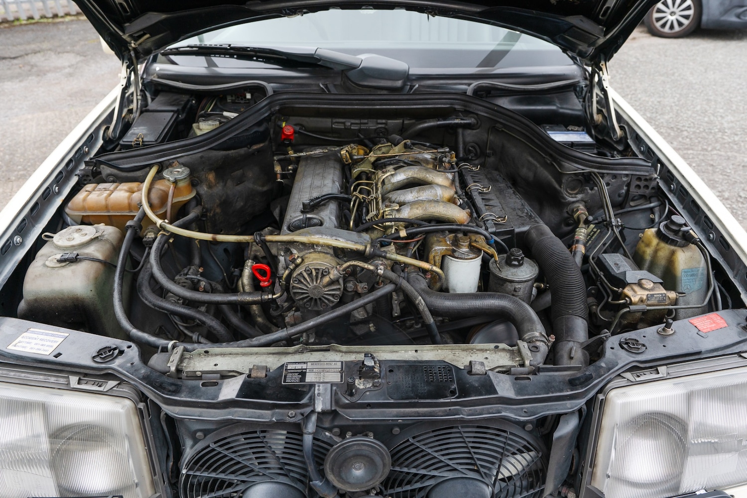 Used Mercedes-Benz 250 1991 for sale - 76502835: Photo 17