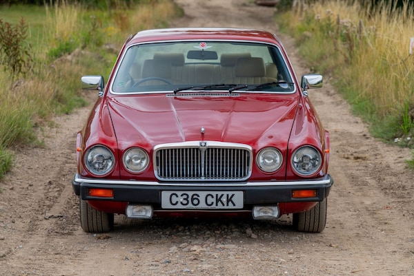 Used Jaguar XJ 1985 for sale - 76195972: Photo 8