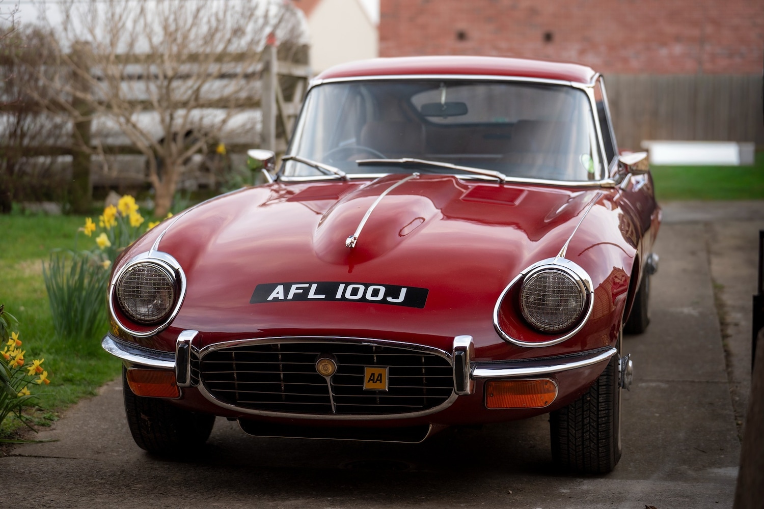 Used Jaguar E-Type 1971 for sale - 77776563: Photo 4