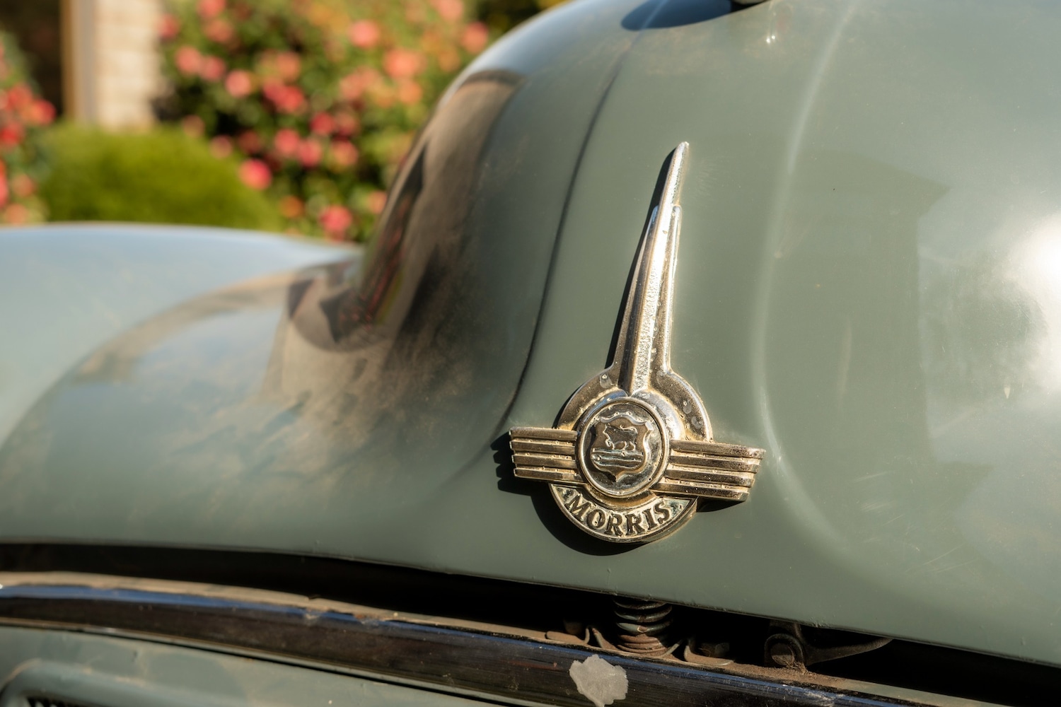 Used Morris Minor 1953 for sale - 78190952: Photo 13