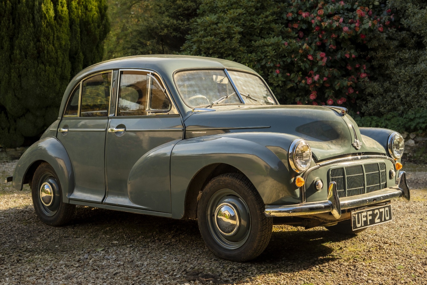 Used Morris Minor 1953 for sale - 78190952: Photo 3