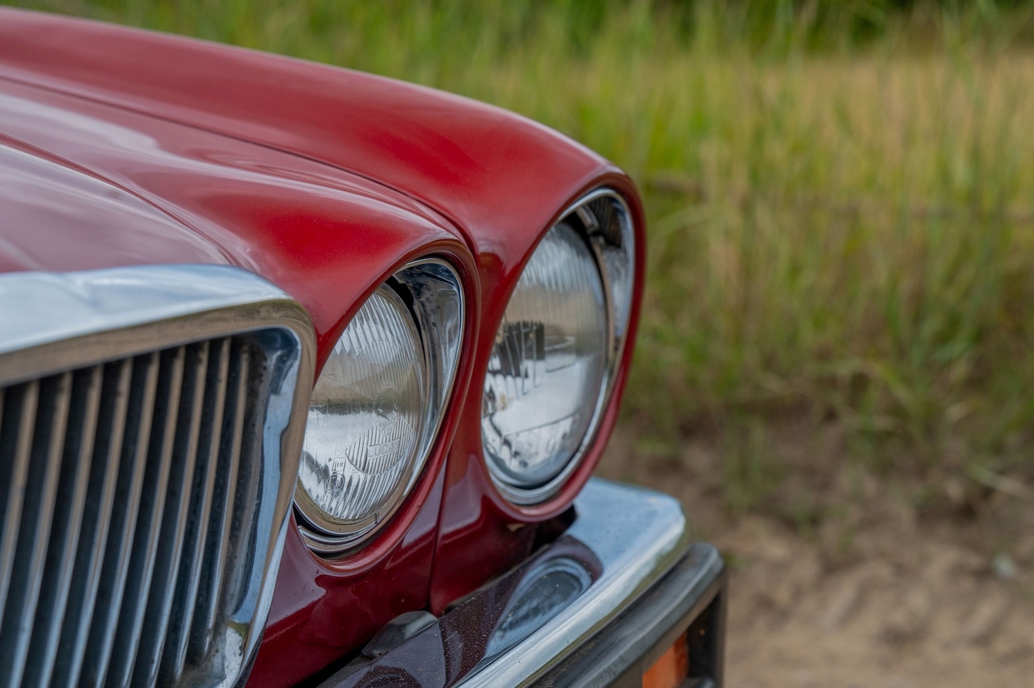 Used Jaguar XJ 1985 for sale - 77271623: Photo 16