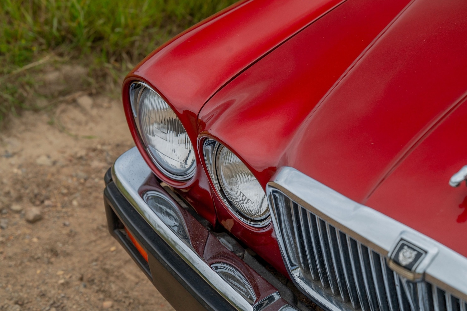 Used Jaguar XJ 1985 for sale - 77271623: Photo 17