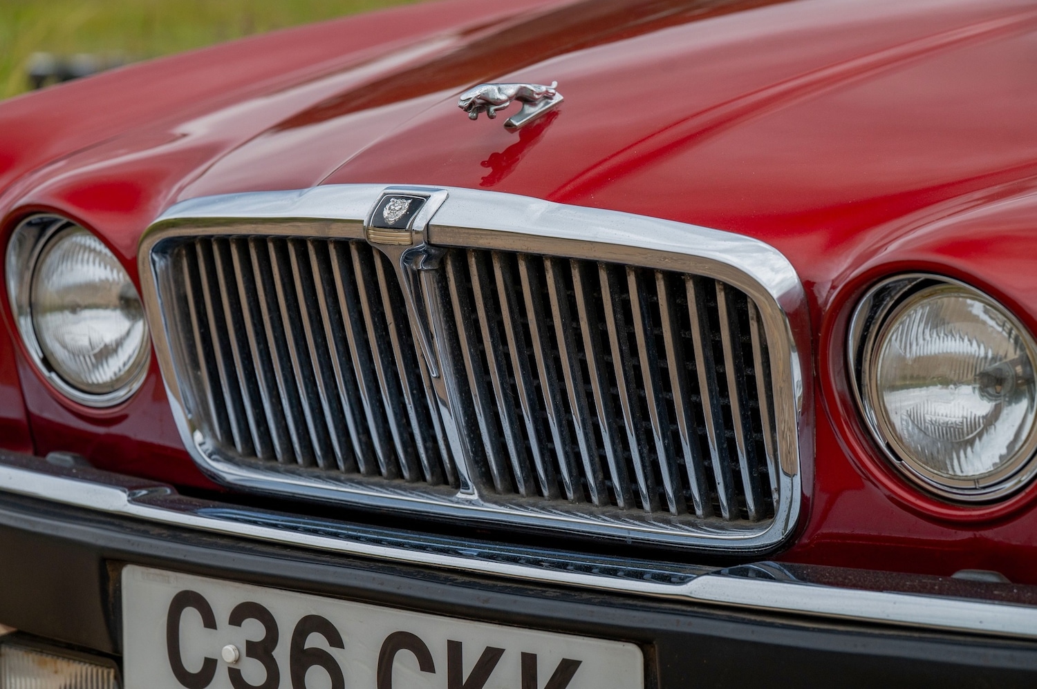 Used Jaguar XJ 1985 for sale - 77271623: Photo 18