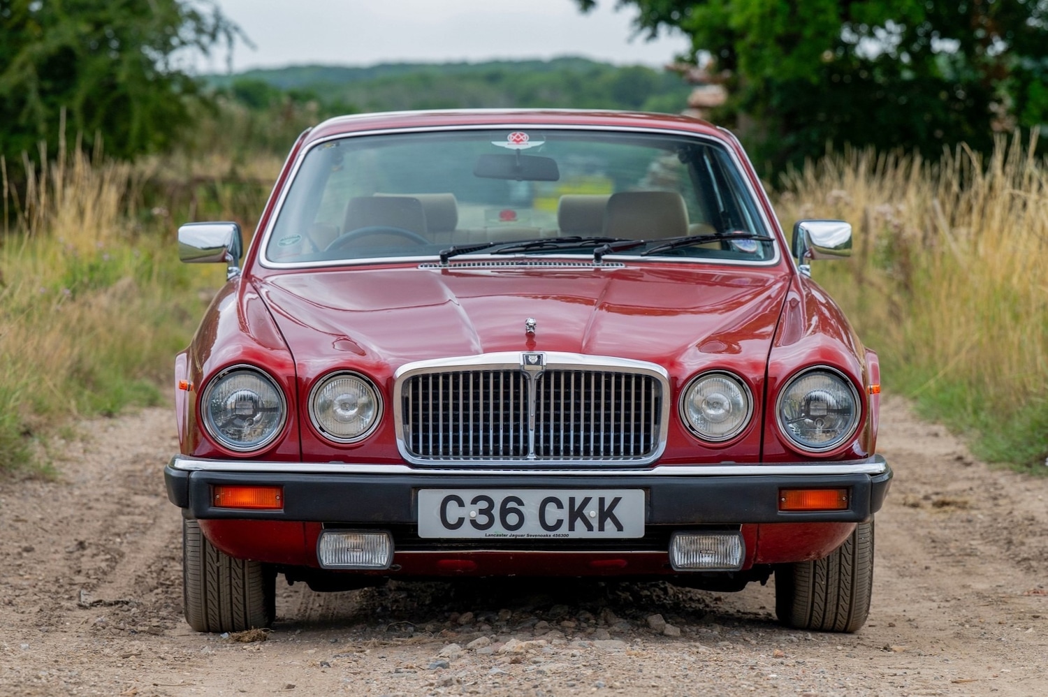 Used Jaguar XJ 1985 for sale - 77271623: Photo 5