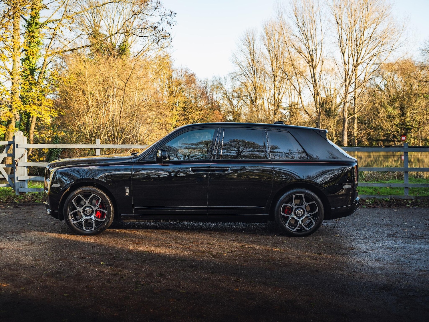 Used Rolls-Royce Cullinan 2020 for sale - 76765783: Photo 6