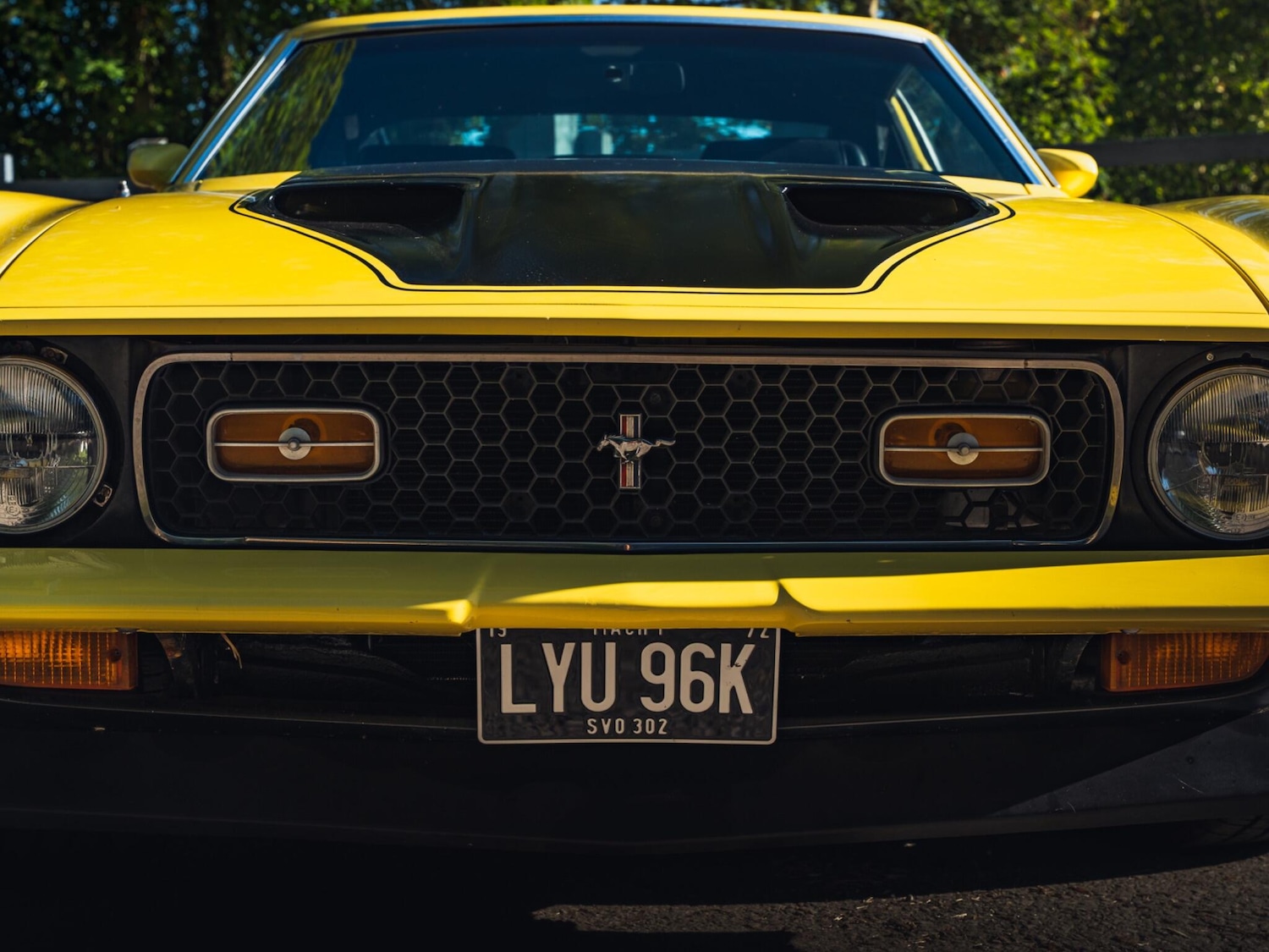 Vehicle 74