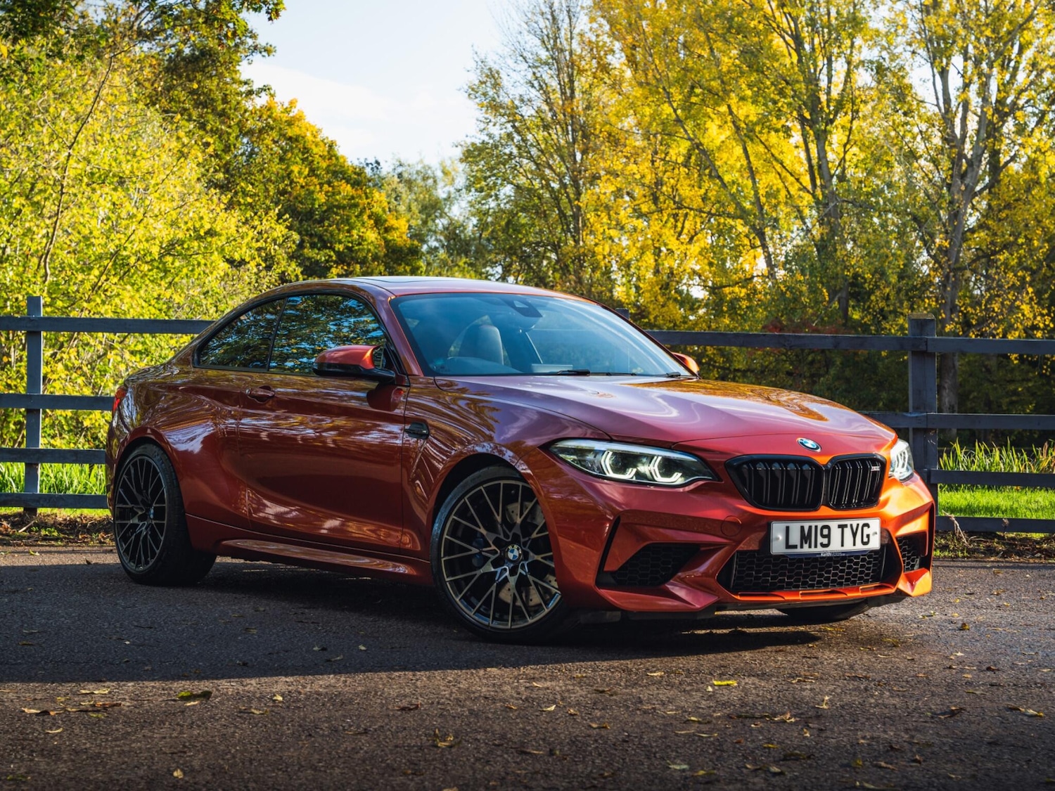 Used BMW M2 for sale - 76314994: Photo 1