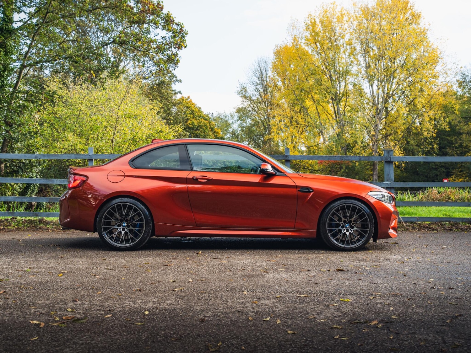 Used BMW M2 for sale - 76314994: Photo 10
